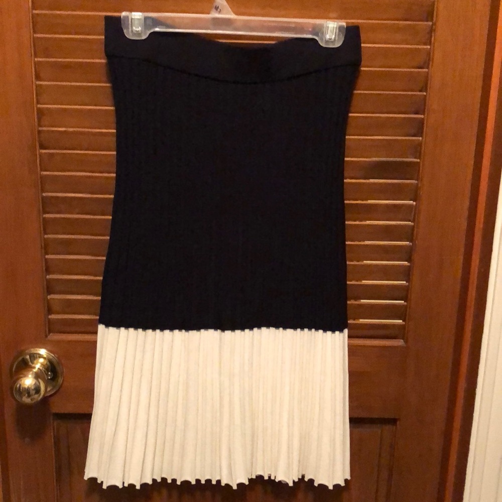 Ann Taylor Skirt